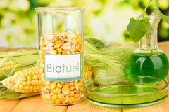 Drumelzier biofuel availability